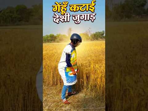 Gehun katai desi jugad 😂 #funny #shorts #bihari #farmer #technology