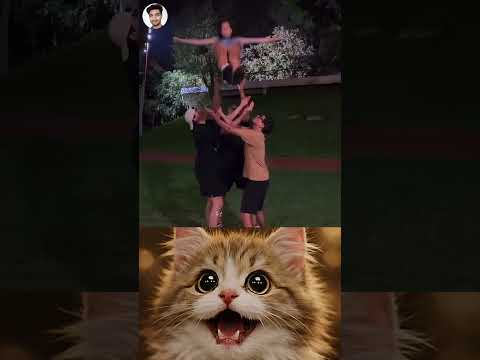 They Dropped Her Mid Air 😳💀😅 #funny #memes #cat #trending