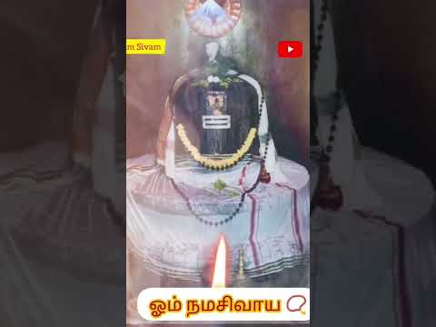 நீங்கள் உங்களை இறைவனிடம் சரணடைந்து விட்டால், அவர் ஒருபோதும் உங்களை கைவிட மாட்டார் –  ஓம் நமசிவாய 📿😇❤