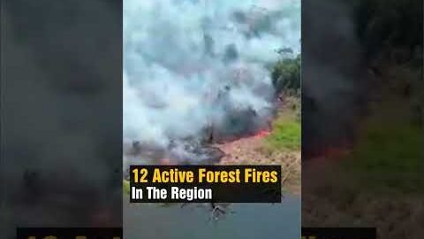 Wildfires Rip Through Bolivian Amazon Rain Forests | Wildfires News | #trending #viral | N18S
