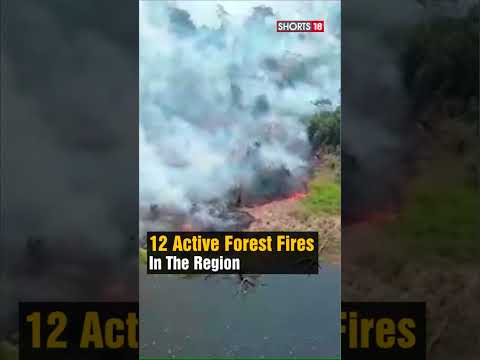 Wildfires Rip Through Bolivian Amazon Rain Forests | Wildfires News | #trending #viral | N18S