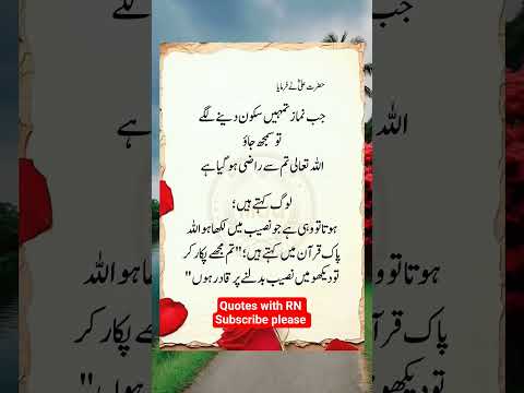 Beautiful Islamic status, Islamic status on Muslim, 4k Islamic status  #Islam #allah #ytshort #short