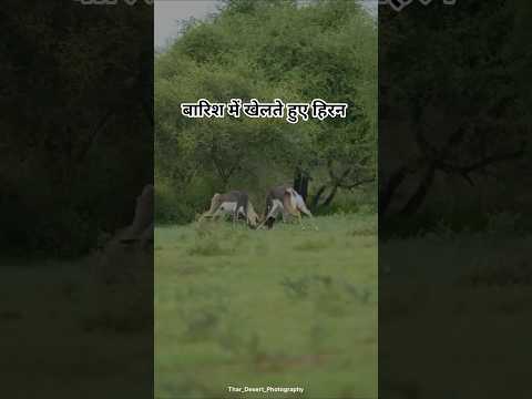 सुहाना मौसम 🎈।#bairan #banjare #food #farming #villagelife #vlog #ytshorts #desi #viralsong #shorts