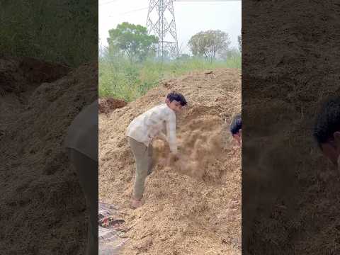 Desi🥰 #desiviilagelifetstyle #shortvideo #villagelife #desilife #viralvideo #shorts