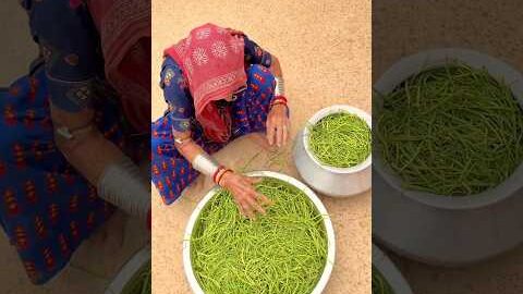 राजस्थान में सांगरी की खेती😍 #desi #sangari #villagelife #food