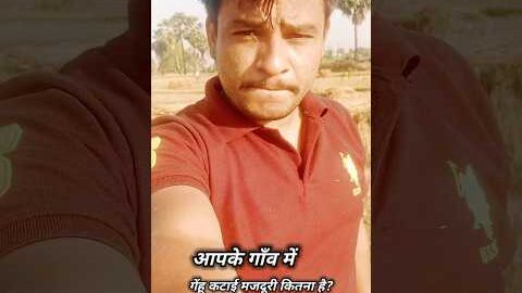 apna kheti baadi 🌾👍 #vlogger #kheti #kisan #desi #village