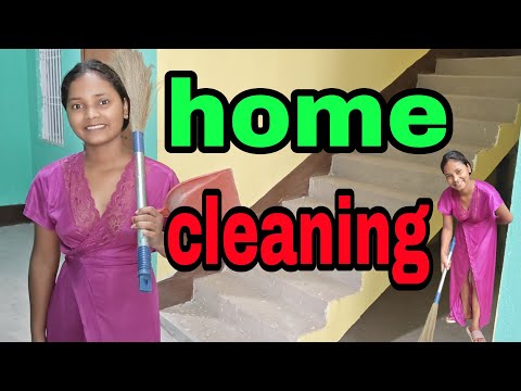 Desi Women Share THEIR Favorite Home Cleaning Secrets !! @desigirlm