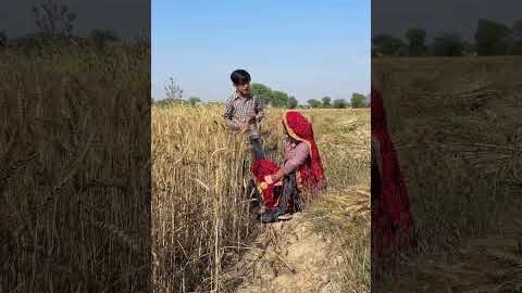 भाभी को देखो 🤣😅 #funny #comedy #cute #minivlog #love #farming #desi #viral #youtubeshorts #shorts