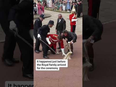 Soldier faints at Windsor Castle