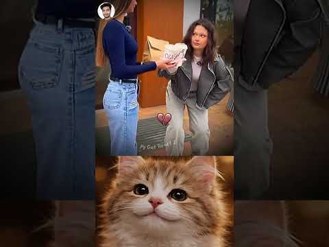 She Left Him in Untied Laces ππ
#funny #memes #cat #trending