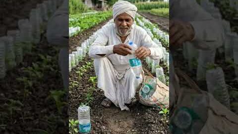 પ્લાસ્ટિક બોટલથી સિંચાઈનો દેશી જુગાડ 💧🌱 #farming #desi #viral #funny #desijugaad