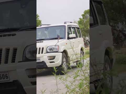 #desi #fitness #workoutmotivation #ytshorts