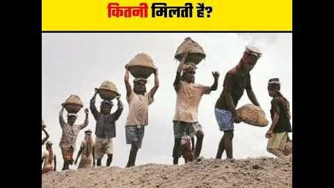 अमेरिका में मजदूरी कितनी मिलती है। #shortfeed #short #unbelievable #viral #viralshort #fact