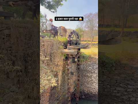 2 हज़ार साल पुरानी रहट 😱#villagelife #rajasthan #desi #shorts #gaon #viralvideo #viralshort