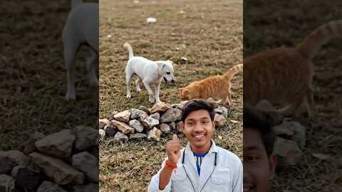 mere piche deko #minivlog #vlog #desi 📈📈📈