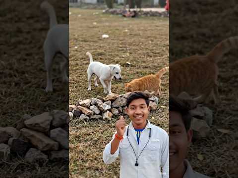 mere piche deko #minivlog #vlog #desi 📈📈📈