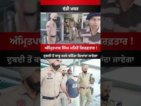 Amritpal Singh Mehron Arrest Video ๐จ๐จ #amritpalsingh #punjab #viral #news #bhagwantmann #shorts
