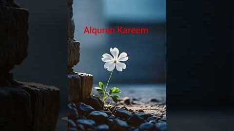 Beautiful Islamic status on Muslim 4k Islamic status #Islam #allah #ytshort like Camnts subscribe