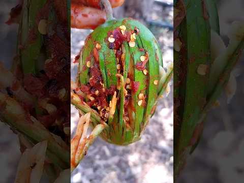 Mango 🥭 Spicy Raw Mango 🤤 masala #mango #shorts #food