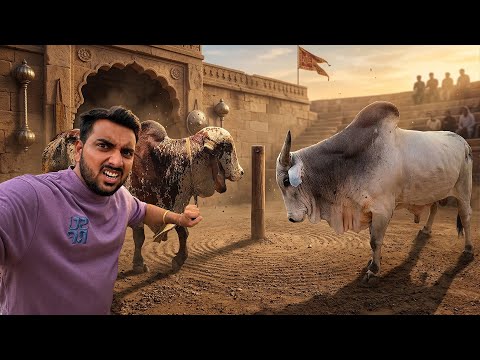 Farm Me Ghusa Desi Bull🐂Bheem Ne De Di Open Warning😡