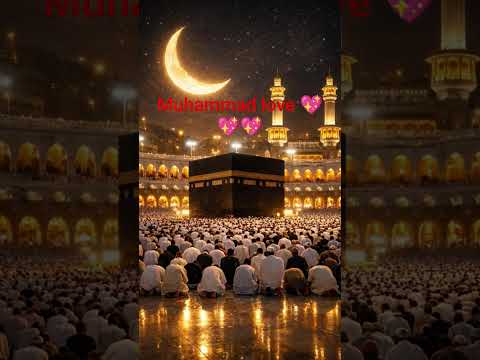Beautiful Islamic status on Muslim 4k Islamic status  #Islam #allah #ytshort like Camnts subscribe