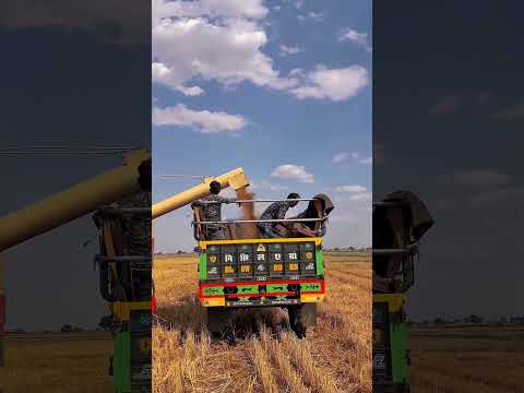 किसान😞🧑‍🌾 #farming #kisan #desi #viralshort #shortsfeed #viralshorts