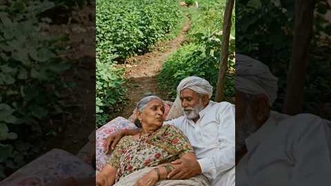 “ખેડૂત જીવનની સચ્ચી શાંતિ 🌾” #desi #farming #desijugaad #ખેડૂત #agriculture #indianfarmer