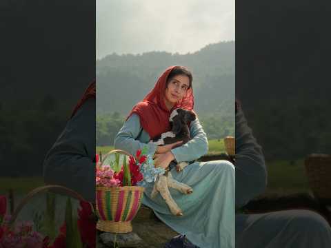 #newpunjabisong #punjabisong #punjabimusic #ranglesardar #songs #latestvideo #latestpunjabisong