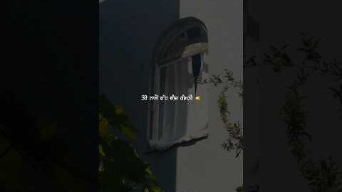 ਤੇਰੇ ਨਾਲੋ ਵੱਧ ਚੀਜ ਕੀਮਤੀ 🫵🥹 | NEW PUNJABI SHORT VIDEOS | PUNJABI SHORT | SAD VIDEOS | Yuvi_xtweetz |