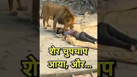 Gujarat Lion Video: शेर चुपचाप आया, और… | Viral Video | Hindi News