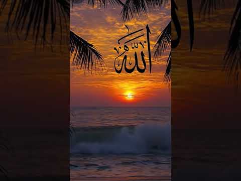 Molana Tarig Jameel Sabb Latest Bayan#youtubeshorts #tariqjameel #reels #viral#shorts #viralvideo