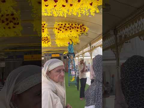 Meharban sahib @SadhanPath @BhajanMarg @Hit_Das @sadhanmaarg @bhajansaar02 #ytshorts #love #trending