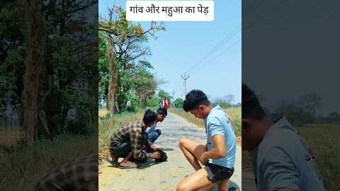 गांव और महुआ का पेड़ #funny #desi #viral #villagelife #gaon #explore