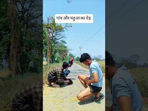 गांव और महुआ का पेड़ #funny #desi #viral #villagelife #gaon #explore