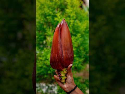 Kele Ke Phool Ki Sabji | Rare Desi Recipe 😍 | Healthy & Tasty Banana Flower # banana @flaviacapital