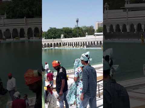 Sade bhag raja ji @SadhanPath @BhajanMarg @Hit_Das @bhajansaar02 #trending #ytshorts #viral #sikh