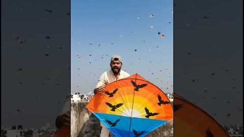 Kite Flying Madness 🪁🔥 | Full Sky of Kites | Desi Festival Vibes #automobile #shorts