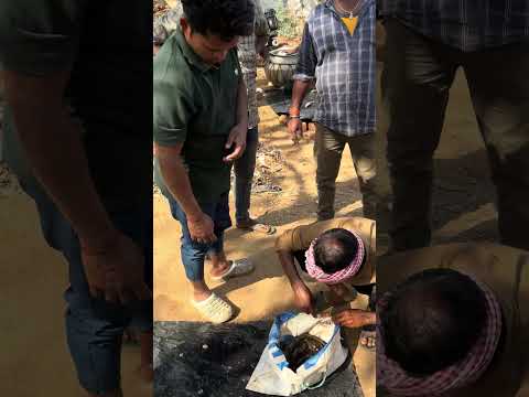 Desi Mangur 😎 #fish #mangur #viral