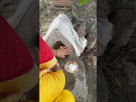 जय हो दादा हर कि#viral #youtubeshorts #desi #youtubefeed ✅✅🙏🙏💯💯