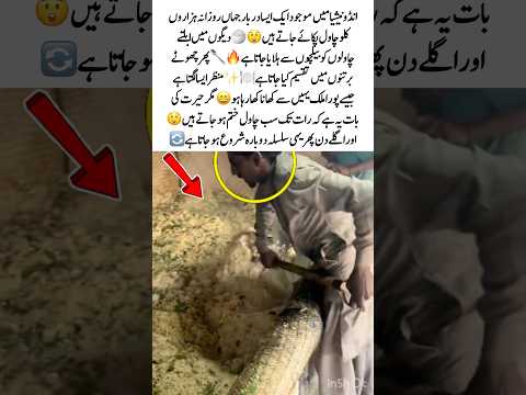 Massive Rice Cooking Every Day🍚🪏#FoodPreparation #AmazingProcess #FoodSupply #ViralScene #USA #UK