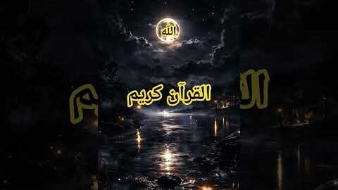 Beautiful Islamic status, Islamic status on Muslim, 4k Islamic status  #Islam #allah #ytshort #short