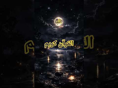 Beautiful Islamic status, Islamic status on Muslim, 4k Islamic status  #Islam #allah #ytshort #short