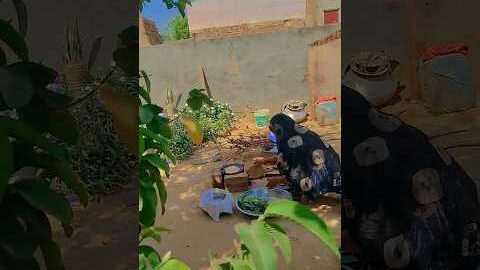 उम्मीद पर दुनिया चले💥😥💔#shortvideo #viralshort#trending #food #desi chulha#trending song#