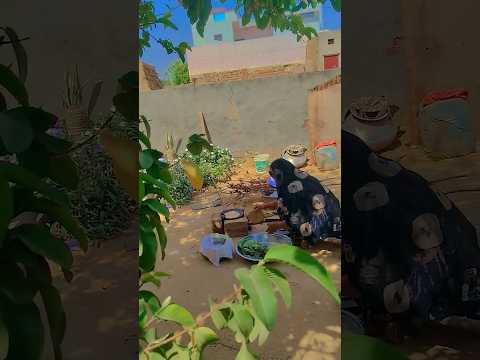 उम्मीद पर दुनिया चले💥😥💔#shortvideo #viralshort#trending #food #desi chulha#trending song#