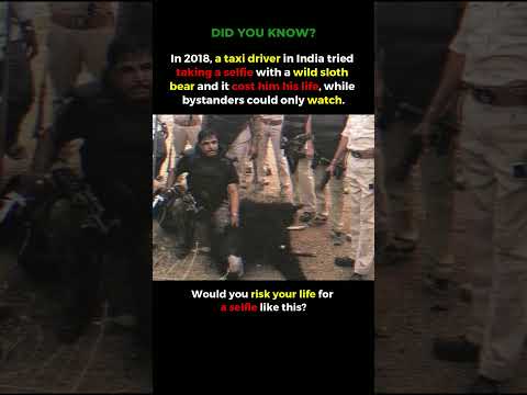 This Selfie Turned Deadly in Seconds… Unbelievable Story 🐻 #shorts #selfie