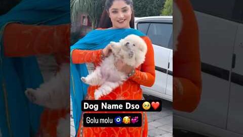 Dog Name 🥹😁❤️ #cute #dog #pets #love #dancer #newpunjabisong #ranjitbawa #ronakjoshi #dance