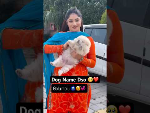 Dog Name 🥹😁❤️ #cute #dog #pets #love #dancer #newpunjabisong #ranjitbawa #ronakjoshi #dance