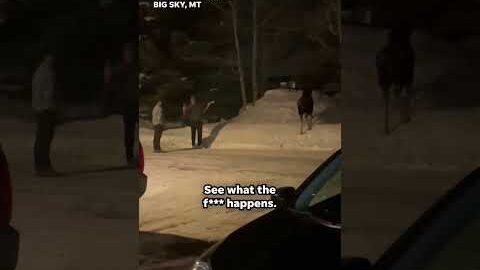 Moose charges at men who ignore repeated pleas to leave animal alone #Shorts