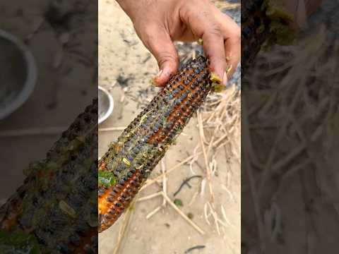 Desi Makka new recipe #Desi 😋#Trending #Makka