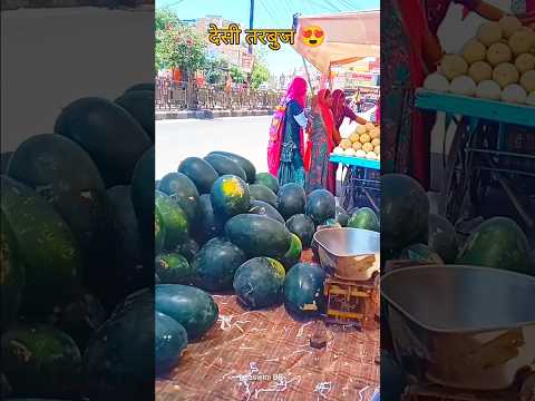 गर्मी से राहत देसी तरबुज😍#shorts #villagelife #desi #rajasthan 🔥🔥